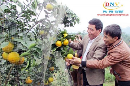 cam-vu-quang-khong-hoa-chat